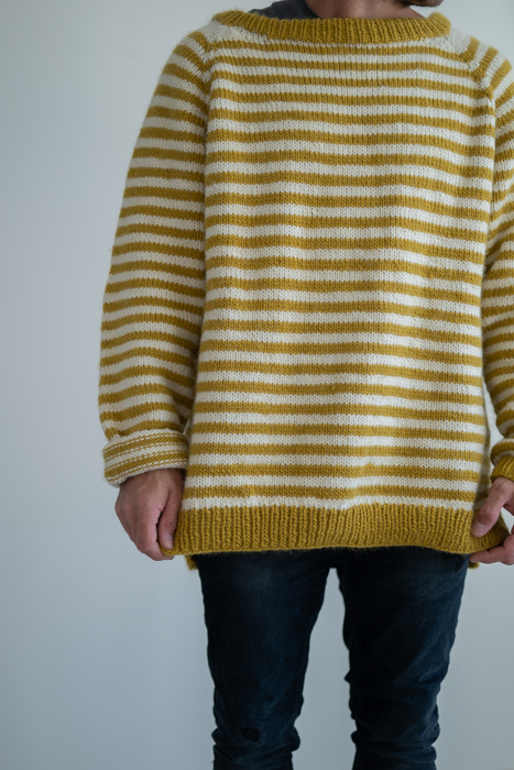Men's sweater Ragan pattern