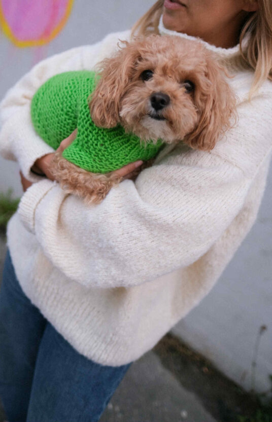 Knitted sweater for women pattern for knitting for dogs. Wool sweater dog knitted