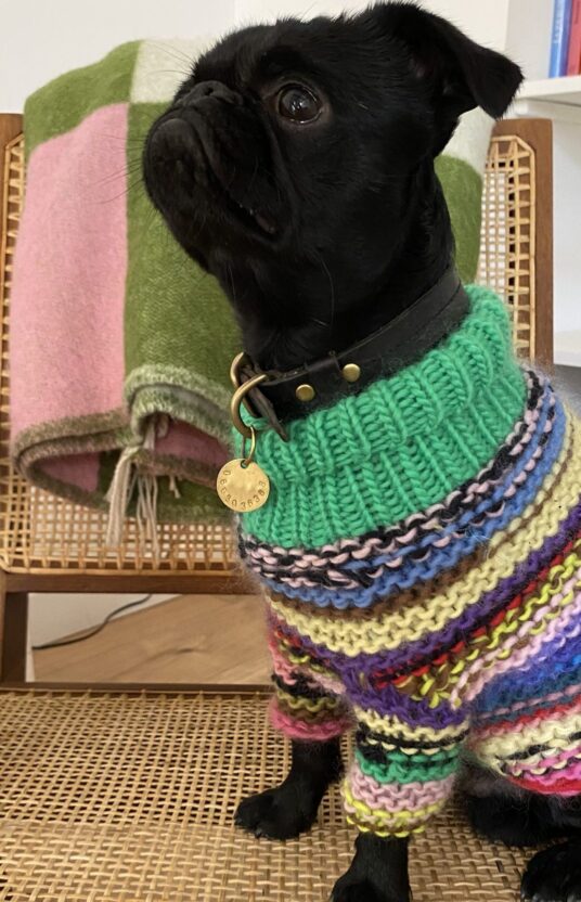 Knitted sweater dog pattern