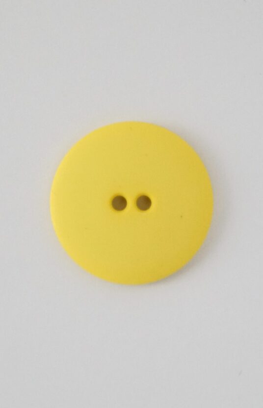 yellow large plastic button