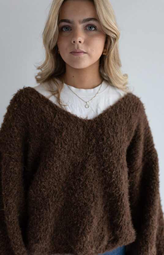 Recipe for a delicious sweater knitted in wild yarn