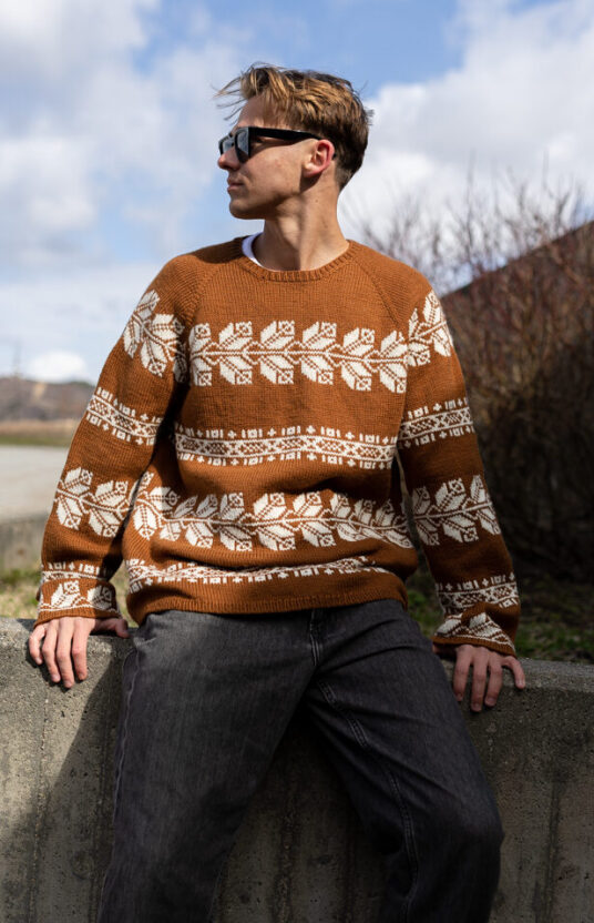 Knit pattern sweater men top down