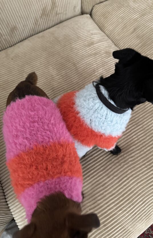Knitted sweater for dog in many sizes. Knitting pattern dog pet dog sweater knitted pattern and yarn. Winter sweater dog