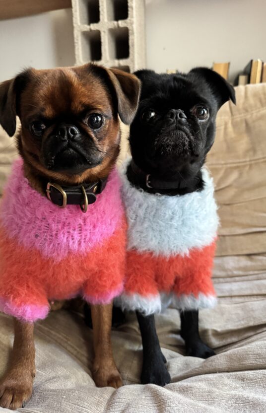 Knitted dog sweater pattern. Knitting pattern for pets, dogs, sweater, dog, and cat.