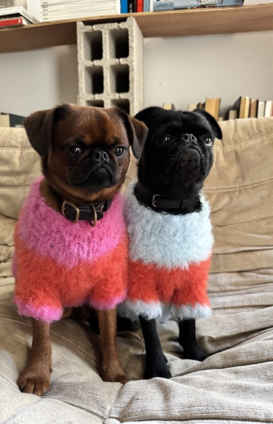 Knitted sweater for dog in many sizes. Knitting pattern dog pet dog sweater knitted pattern and yarn. Winter sweater dog